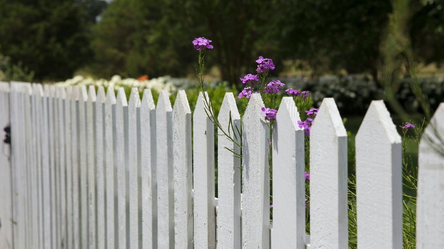 Metal & Wood Fences