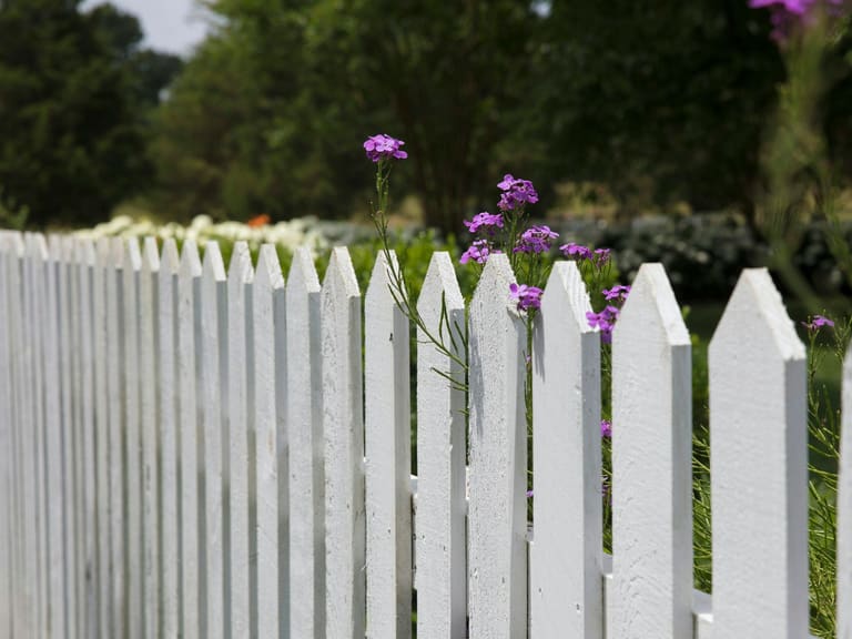 Metal & Wood Fences